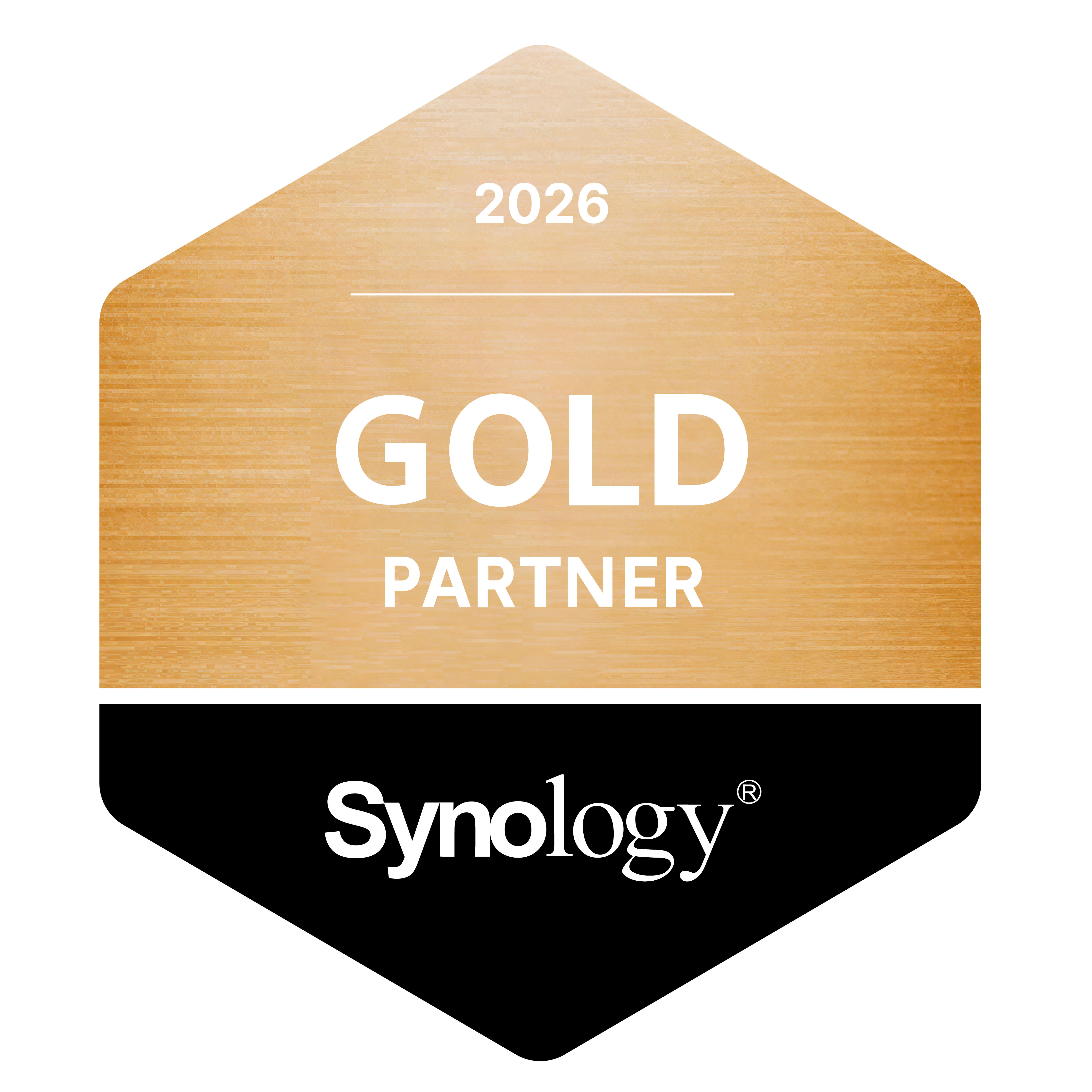 Synology Gold Partner